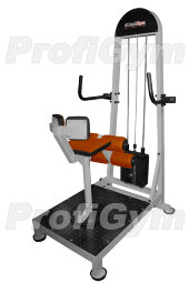 Торс-машина (60 кг) ProfiGym ТГ-0370-C